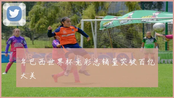 年巴西世界杯竞彩总销量突破百亿大关