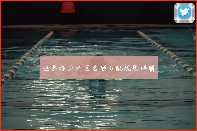 世界杯亚洲区名额分配规则详解